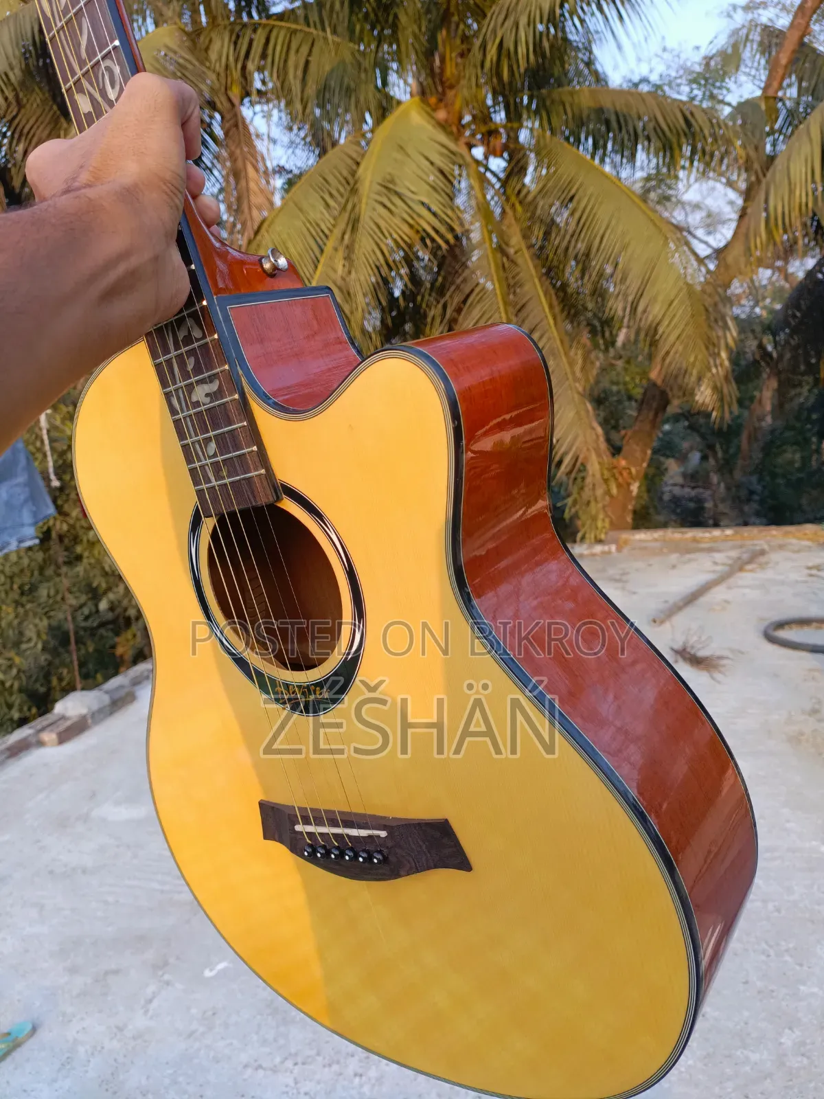 Guitar for Sale