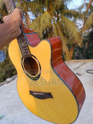 Guitar for Sale