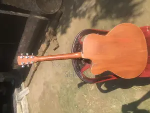 Signature Gogos and Bangla Guitar