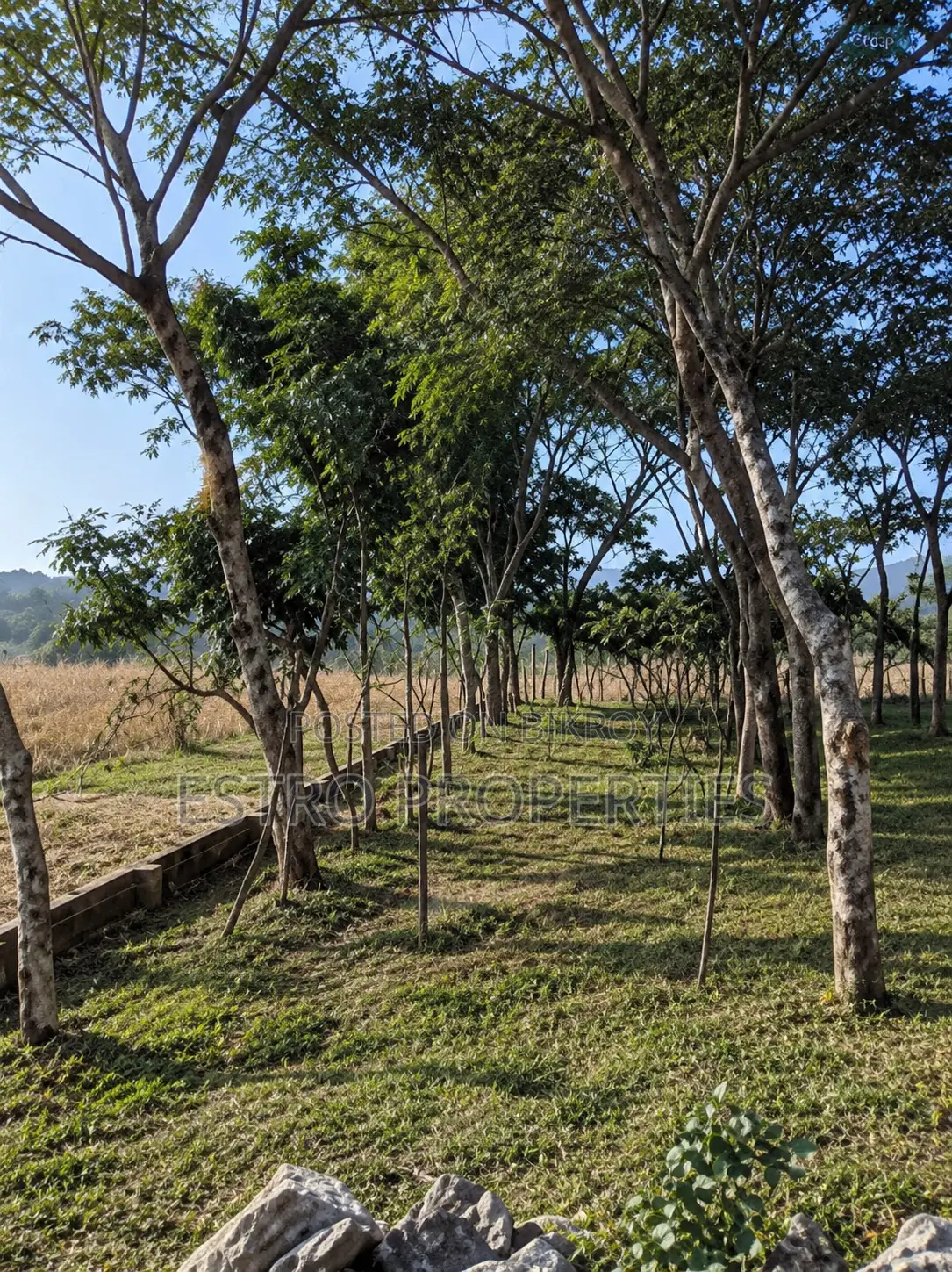 ২০ শতক জমি বিক্রি হবে মুজগুন্নি খুলনা