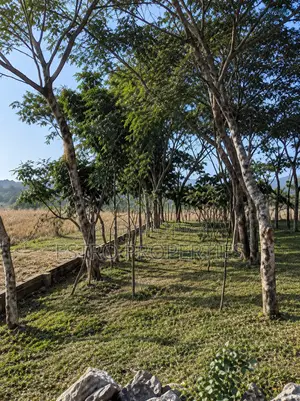 20 Shotok land for sale in Mujgunni, Khulna