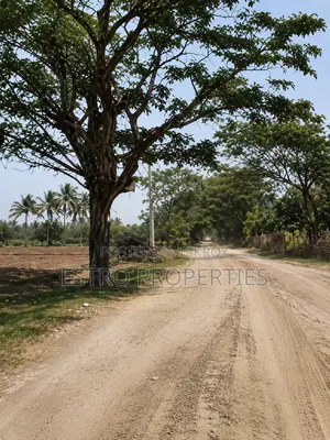 ২০ শতক জমি বিক্রি হবে মুজগুন্নি খুলনা