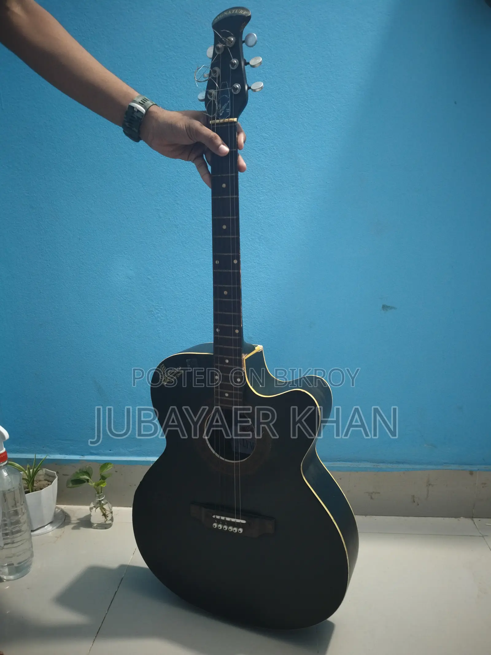 Signature Acoustic Guitar
