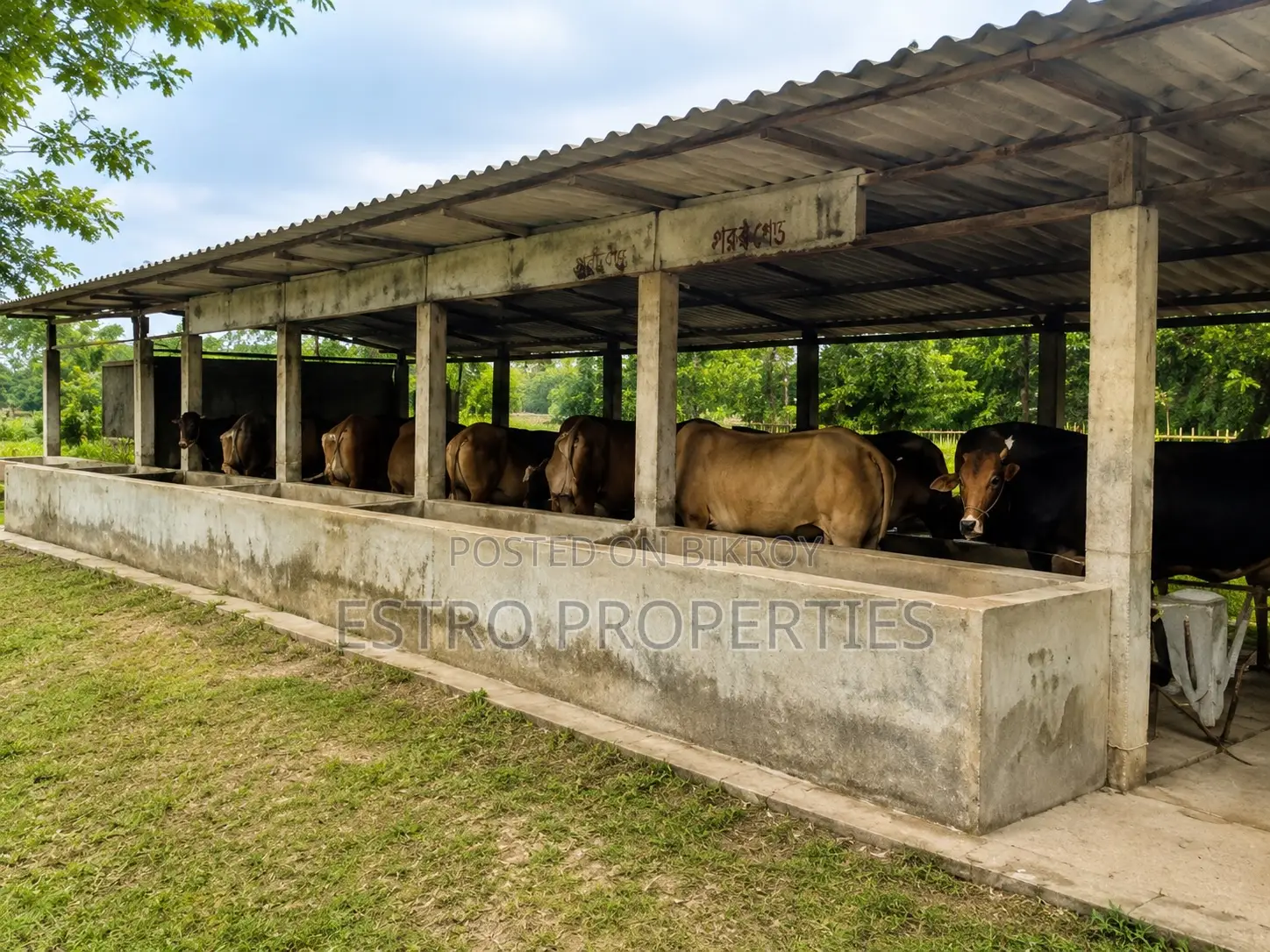 ২০ বিঘার বিশাল বাগান বাড়ি খুলনার ডুমুরিয়া উপজেলার রংপুরে বিক্রি হবে