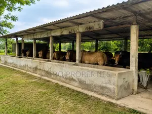 ২০ বিঘার বিশাল বাগান বাড়ি খুলনার ডুমুরিয়া উপজেলার রংপুরে বিক্রি হবে