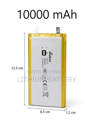 10000 mAh Li-Ion Polymer Battery