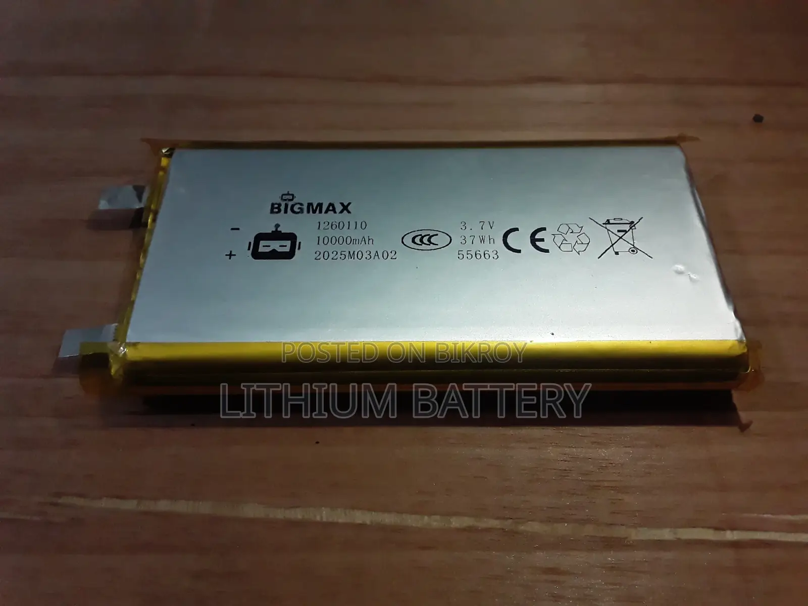 10000 mAh Li-Ion Polymer Battery