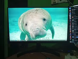 Lg Monitor