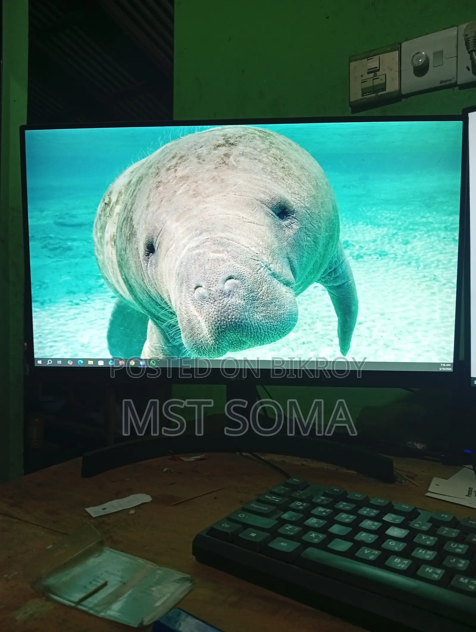 Lg Monitor