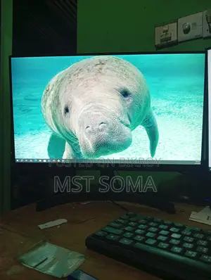 Lg Monitor