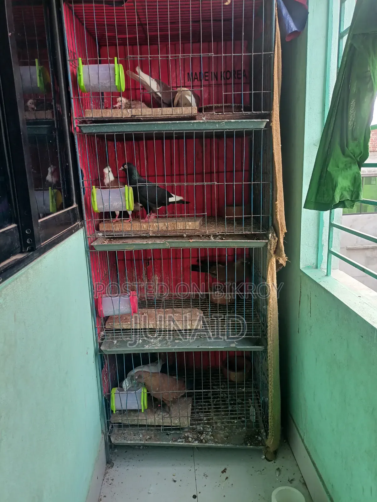 Pigeon Sale Post