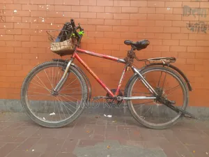 Urgent Sale: Ragnar Max Cycle