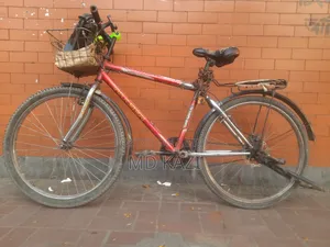 Urgent Sale: Ragnar Max Cycle