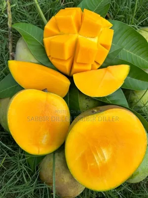 গোপালভোগ আম