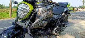 Suzuki 2025 Green