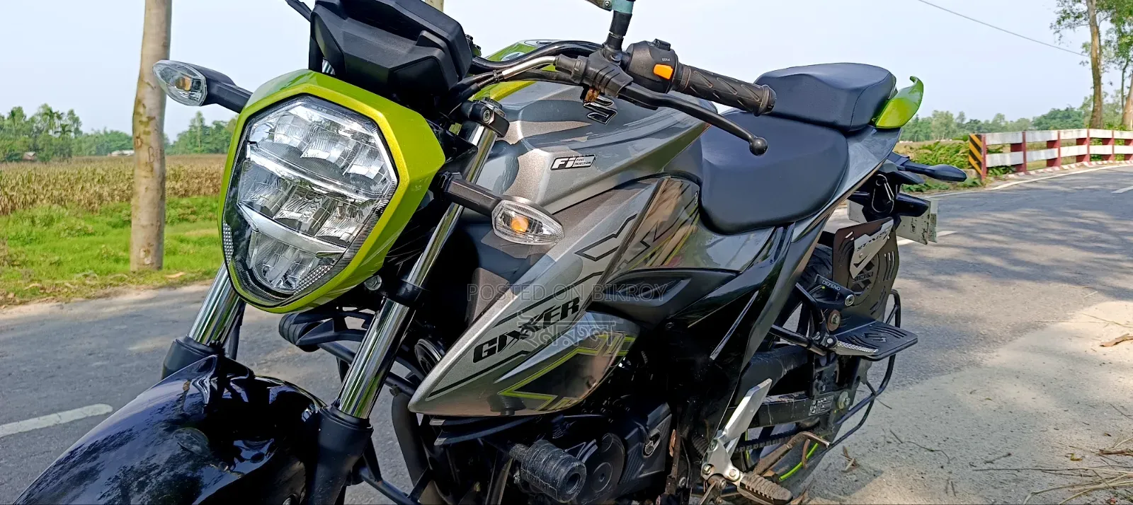 Suzuki 2025 Green