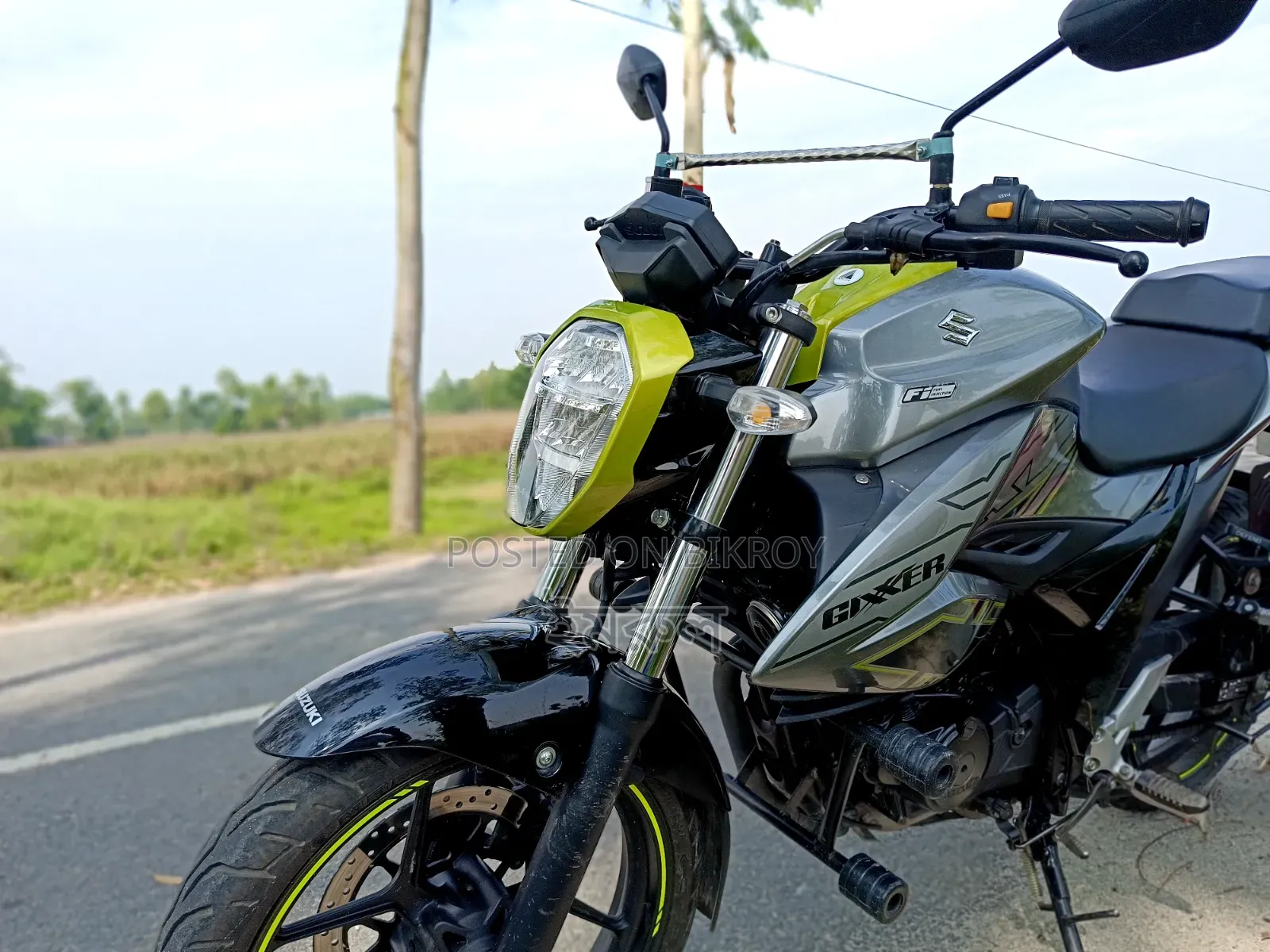 Suzuki 2025 Green