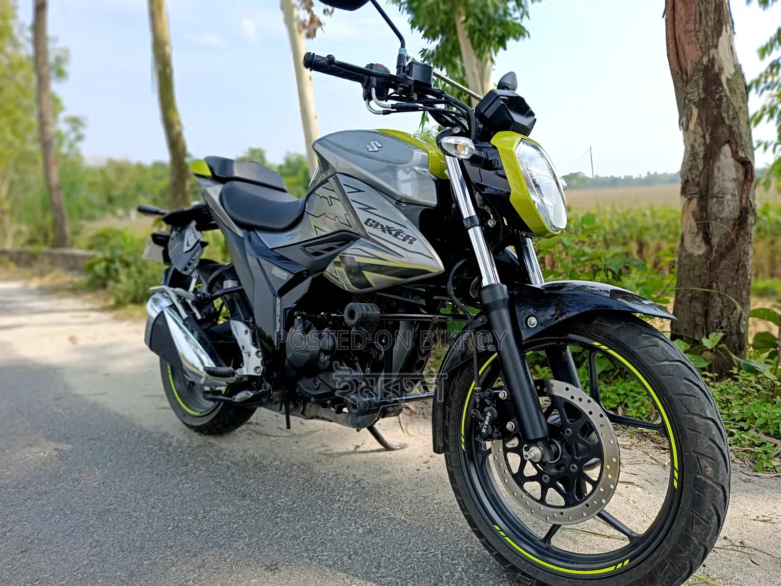 Suzuki 2025 Green