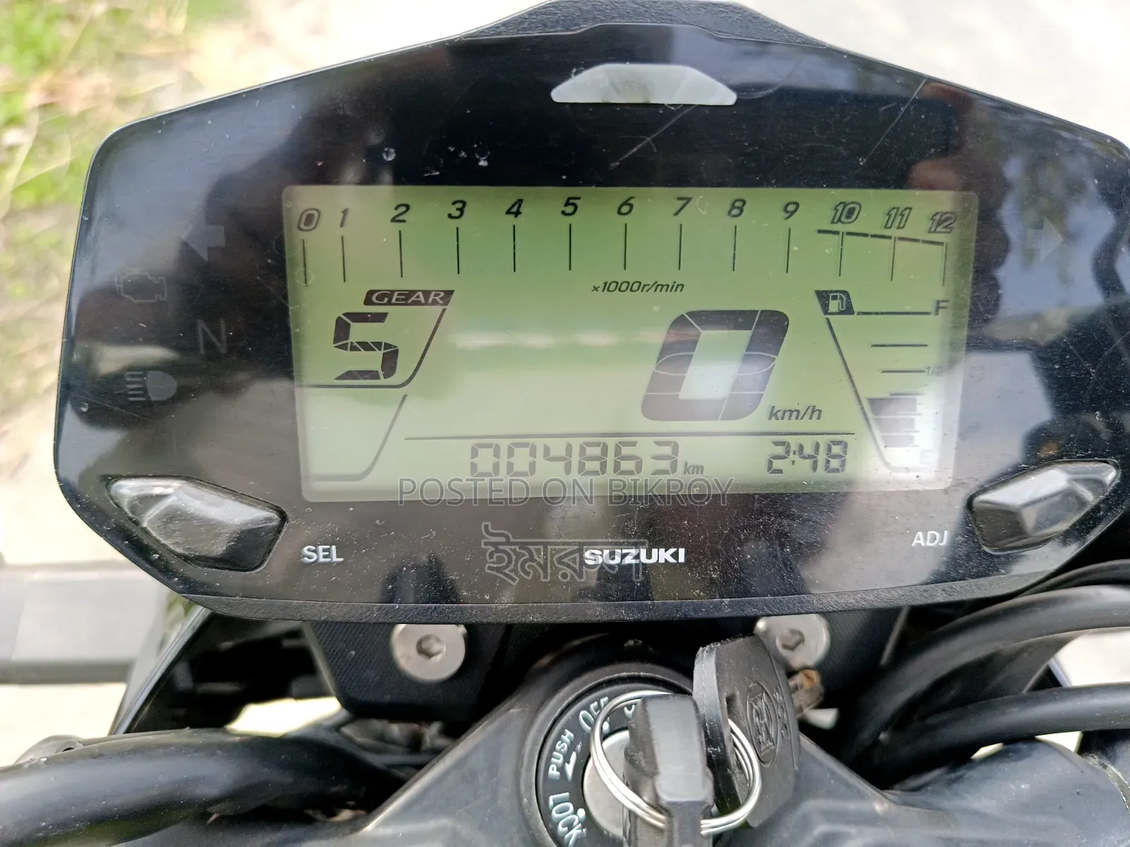 Suzuki 2025 Green