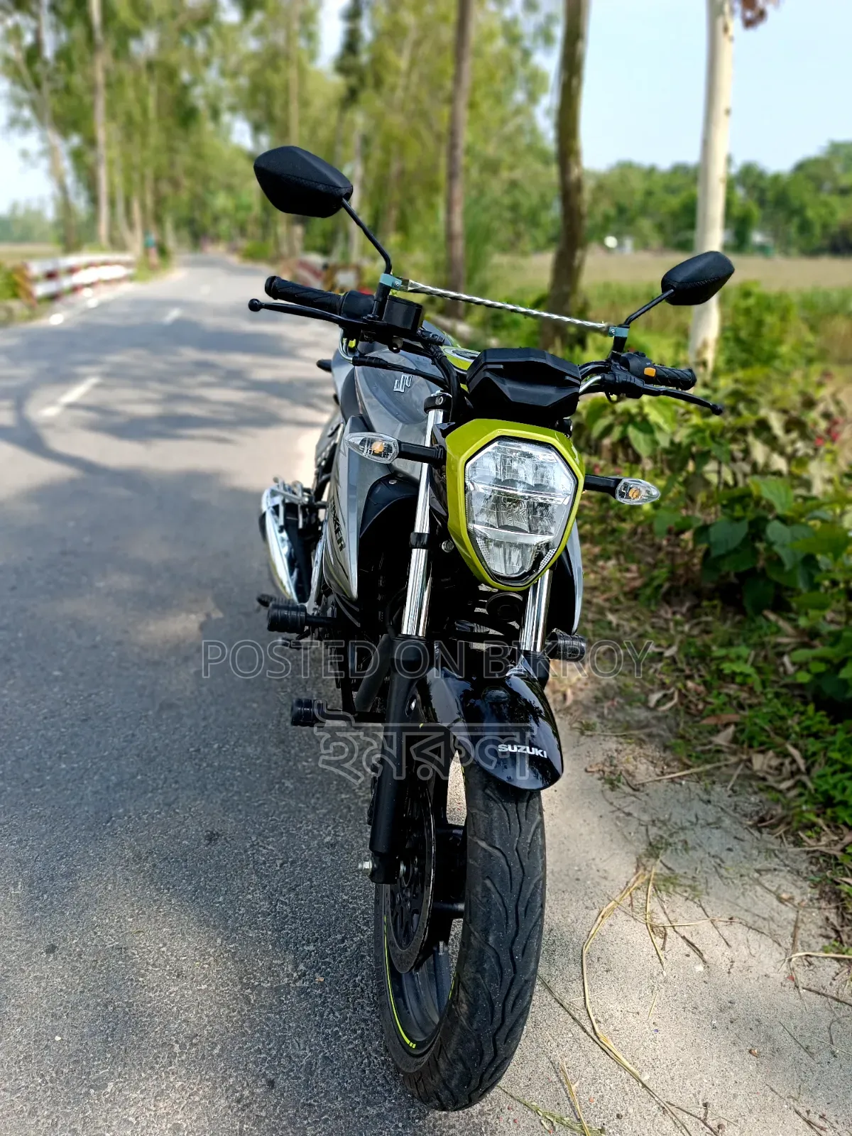 Suzuki 2025 Green