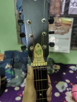 Acoustic Guitar