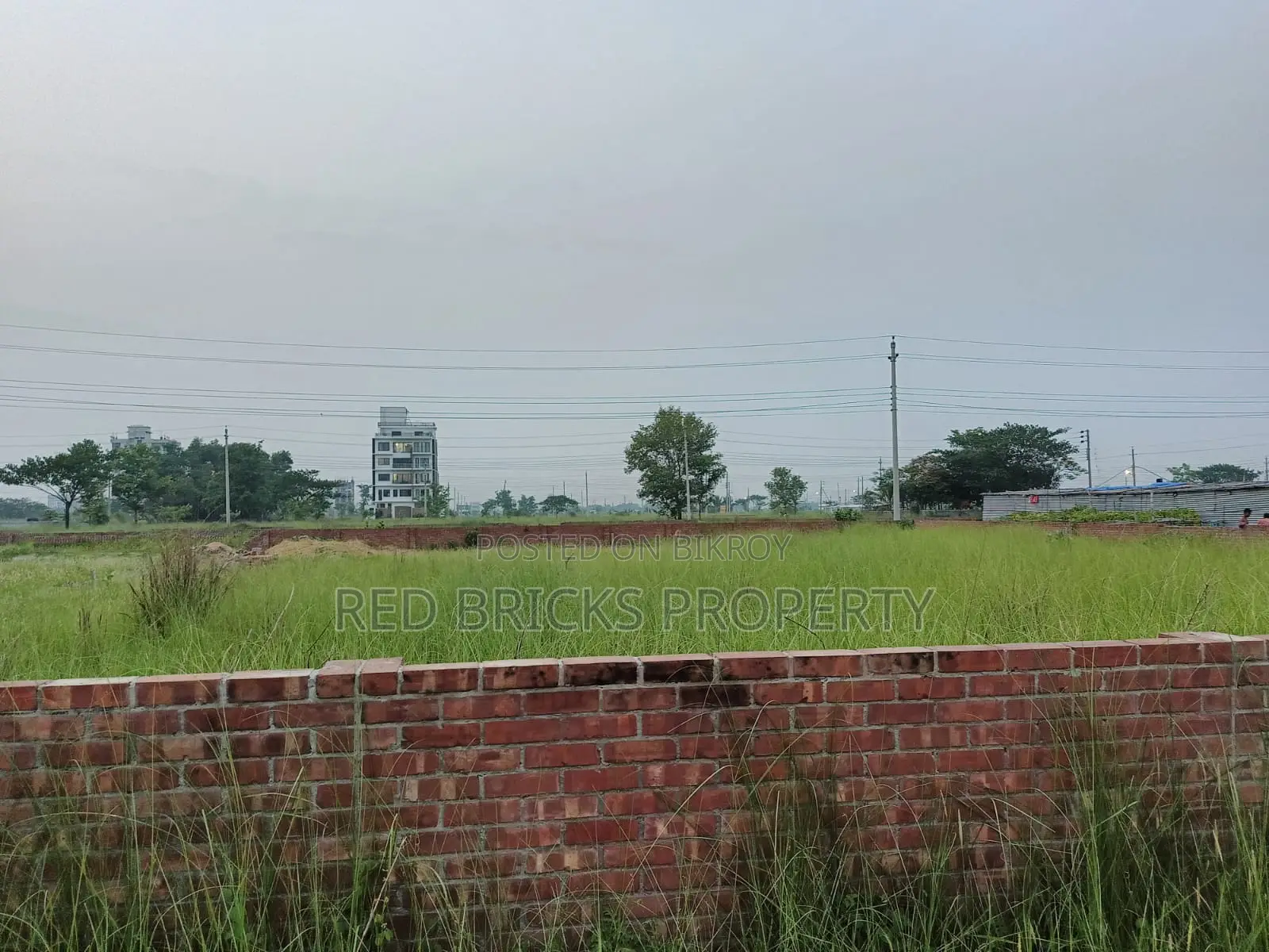 South Facing Plot Sell in N Block Bashundhara
