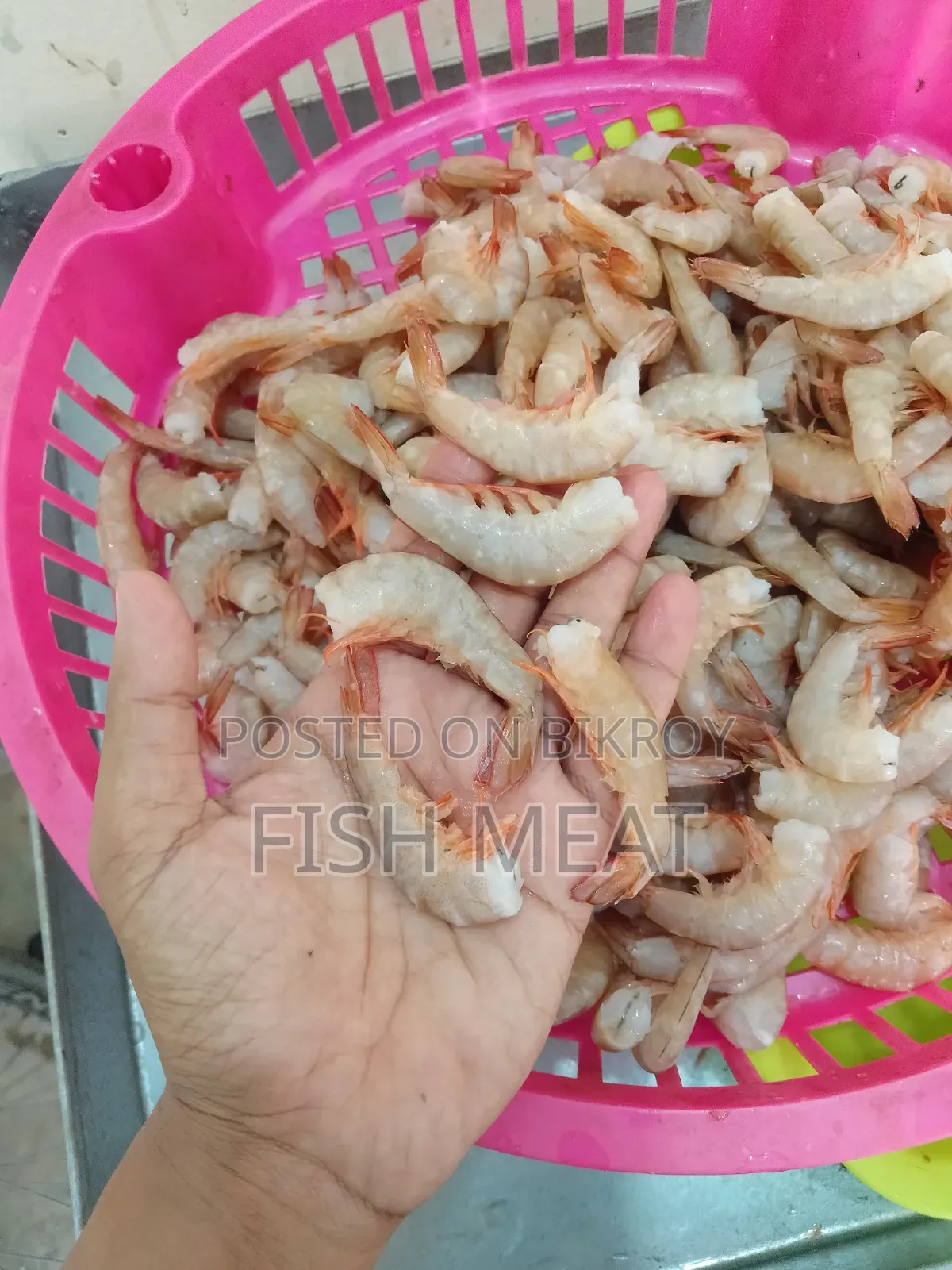 সামুদ্রিক মাছ - কোন অগ্রিম টাকা লাগবেনা