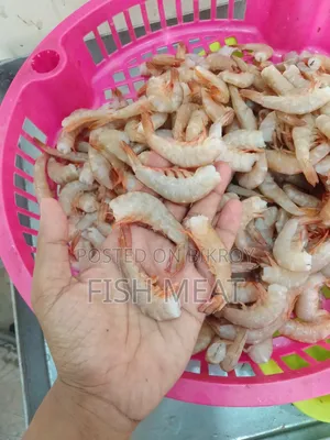 সামুদ্রিক মাছ - কোন অগ্রিম টাকা লাগবেনা