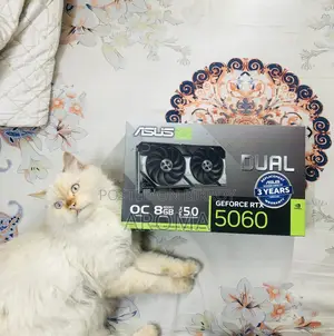 Asus Dual RTX 5060 (Official, Intact)