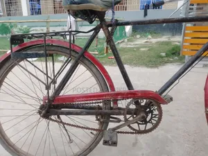 The Bicycle