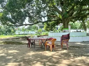 Buy Plots in Purbachal: 3 Katha, 5 Katha, 10 Katha