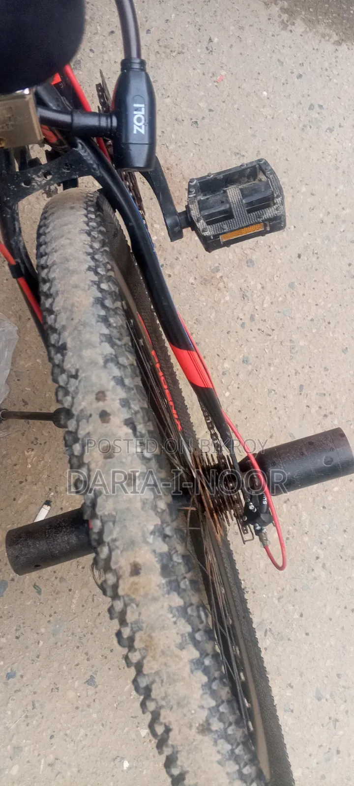 সাইকেল জরুরী বিক্রি করবো