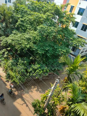 ভালো জায়গা