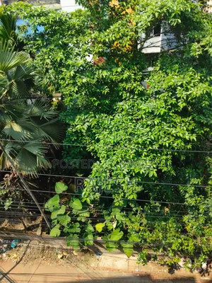 Prime Location Land