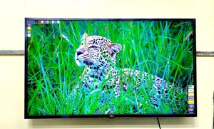 LG 43 Inch Smart TV Korean