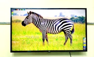 LG 43 Inch Smart TV Korean
