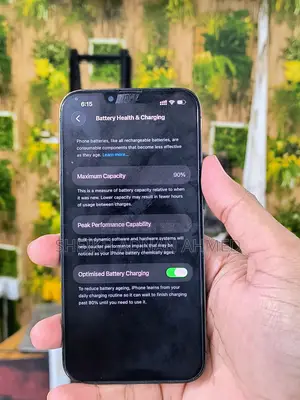 Apple iPhone 13 Pro 256 GB গ্রিন