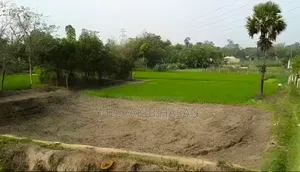 44 Decimals of Land for Sale