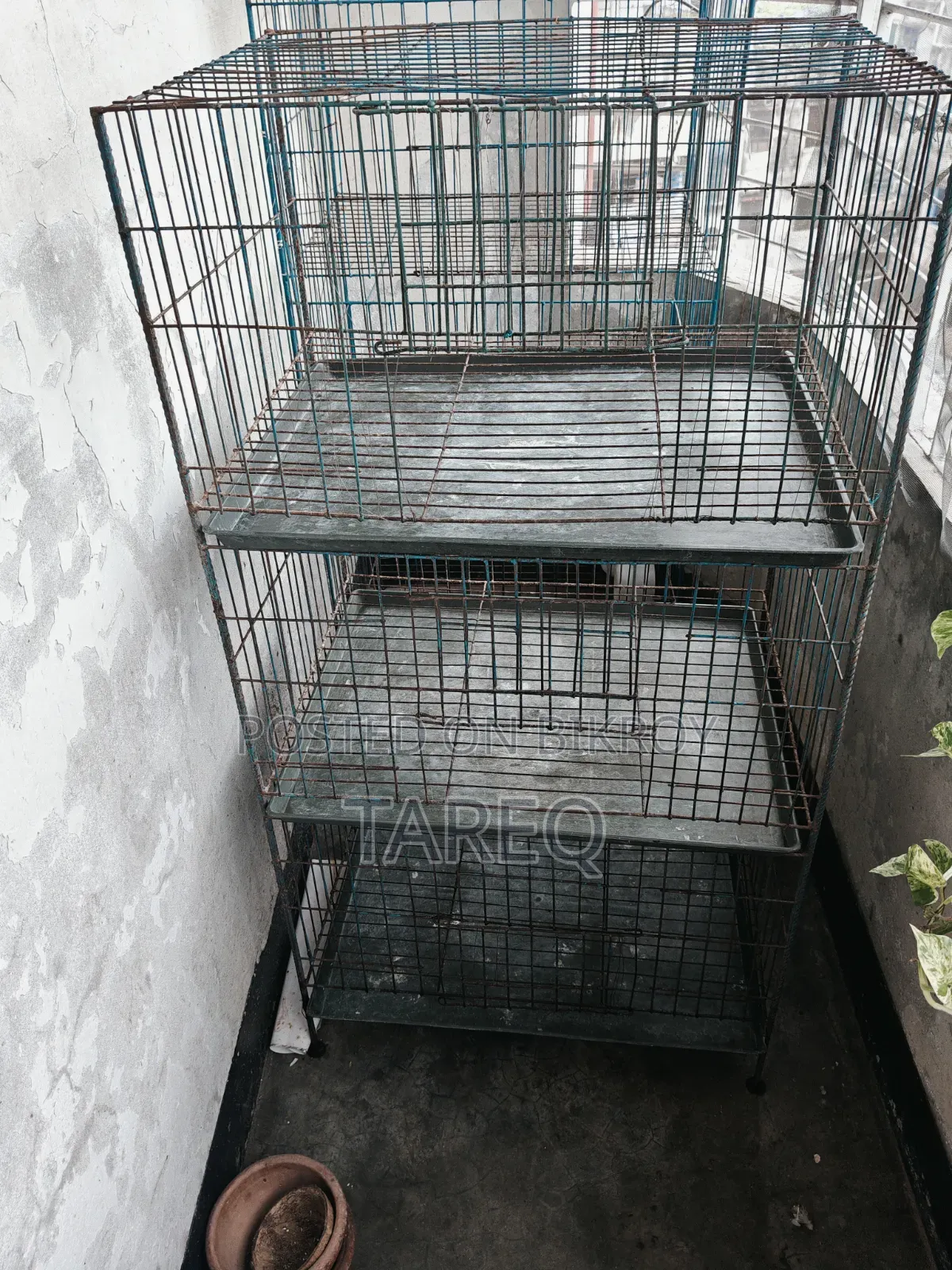 Khacha for Sale