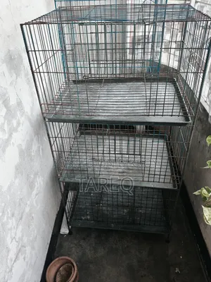 Khacha for Sale