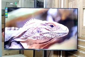 Eco Plus 43 Inch Smart Frameless Voice Control TV