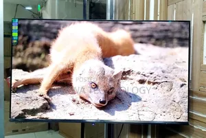 Eco Plus 43 Inch Smart Frameless Voice Control TV