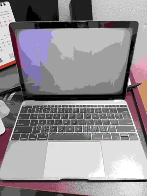 Apple MacBook 2015 8GB Intel Core M 256GB SSD Laptop