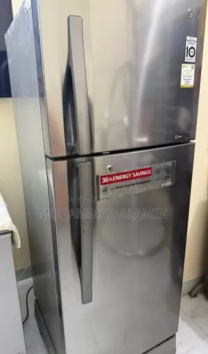 Lg 308 Liter No-Frost Smart Inverter Refrigerator Amber Steel