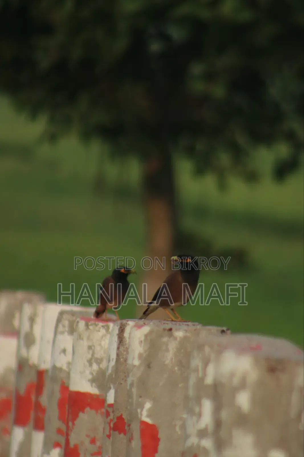 28 X Mobile Zoom Lens