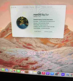 Apple MacBook 2015 8GB Intel Core M 256GB SSD Laptop