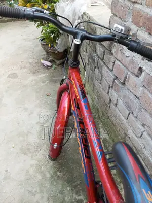 প্রিন্স সাইকেল