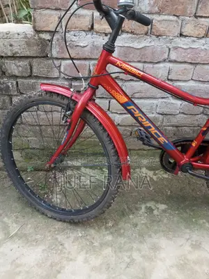 প্রিন্স সাইকেল