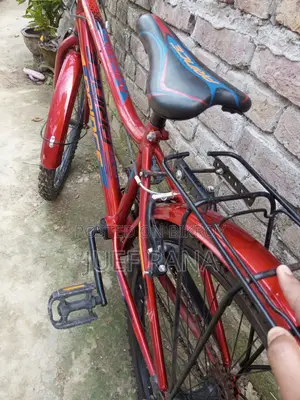 প্রিন্স সাইকেল