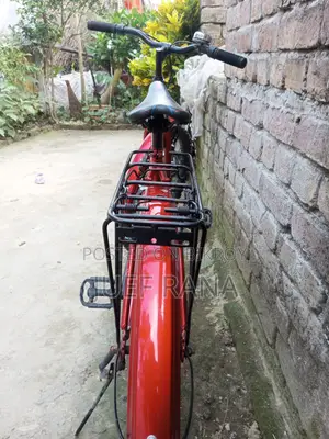 প্রিন্স সাইকেল